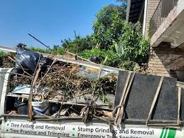 Best Commercial Junk Removal  in Minerva Park, OH